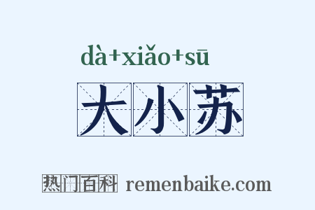 大小苏是什么意思的图片